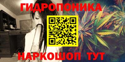шишки Тулун