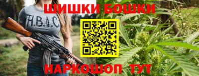 шишки Тулун