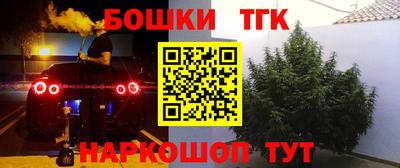 шишки Тулун