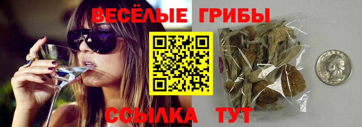 Галлюциногенные грибы прущие грибы  как найти наркотики  Волгодонск  Галлюциногенные грибы прущие грибы  Вход с VPN 